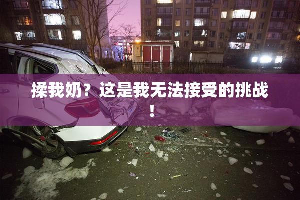 揉我奶？这是我无法接受的挑战！