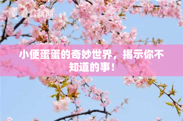 小便蛋蛋的奇妙世界，揭示你不知道的事！