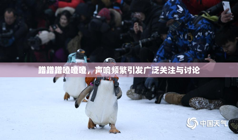 蹭蹭蹭噔噔噔，声响频繁引发广泛关注与讨论