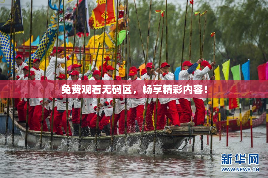 免费观看无码区，畅享精彩内容！