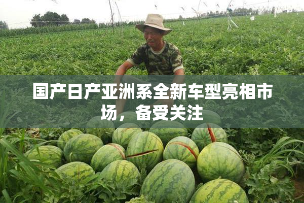 国产日产亚洲系全新车型亮相市场，备受关注