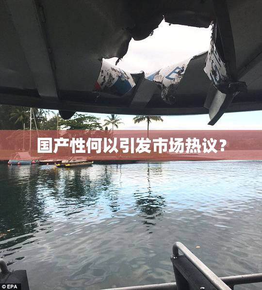 国产性何以引发市场热议？