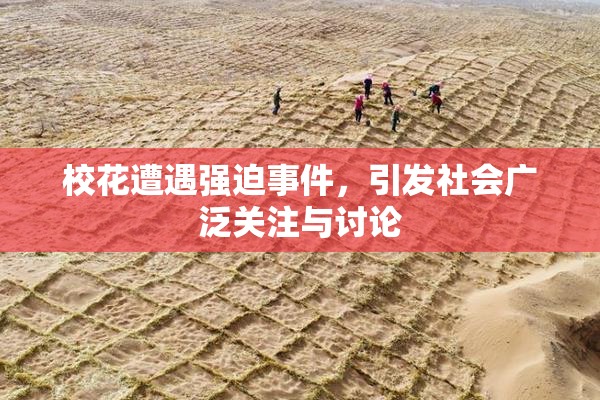 校花遭遇强迫事件，引发社会广泛关注与讨论