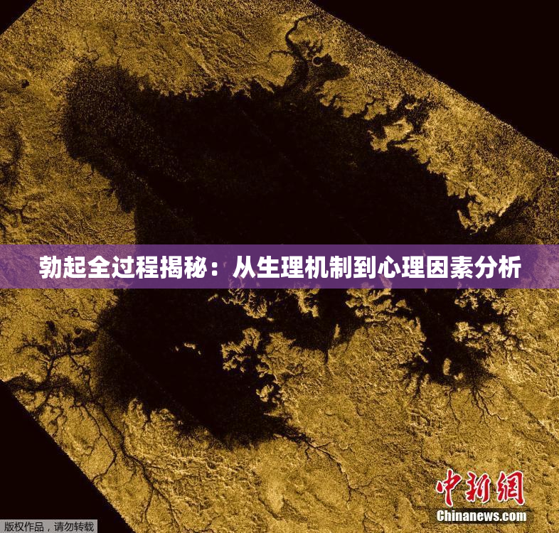 勃起全过程揭秘：从生理机制到心理因素分析