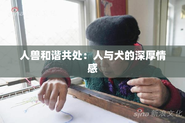 人兽和谐共处：人与犬的深厚情感
