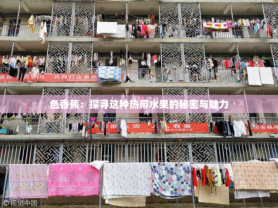 色香蕉：探寻这种热带水果的秘密与魅力
