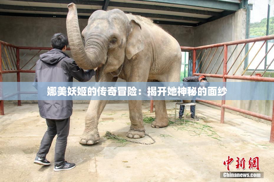娜美妖姬的传奇冒险：揭开她神秘的面纱