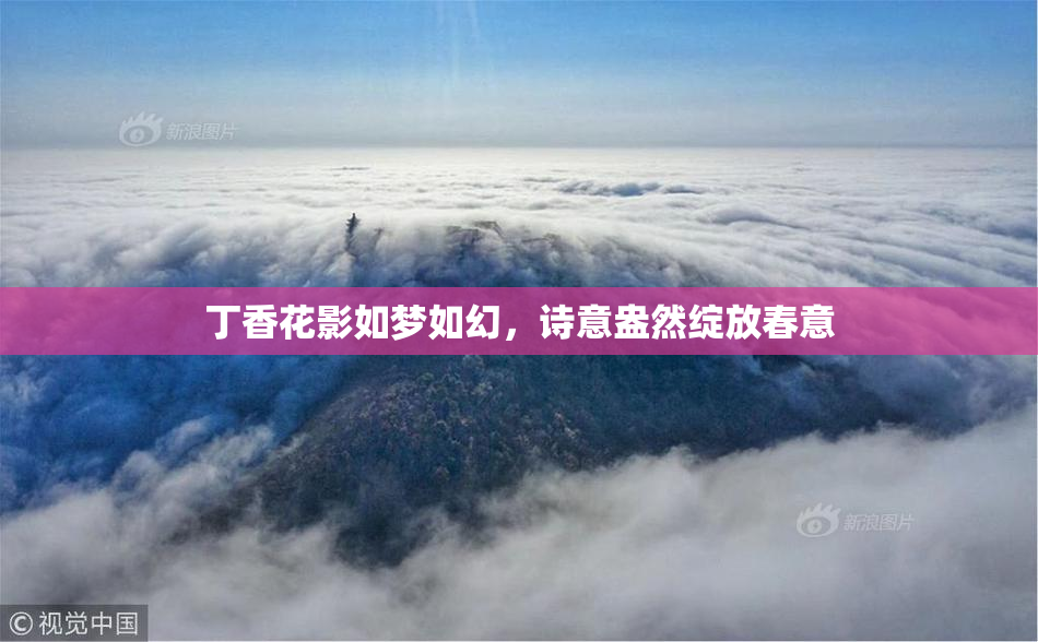 丁香花影如梦如幻，诗意盎然绽放春意