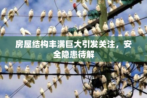 房屋结构丰满巨大引发关注，安全隐患待解