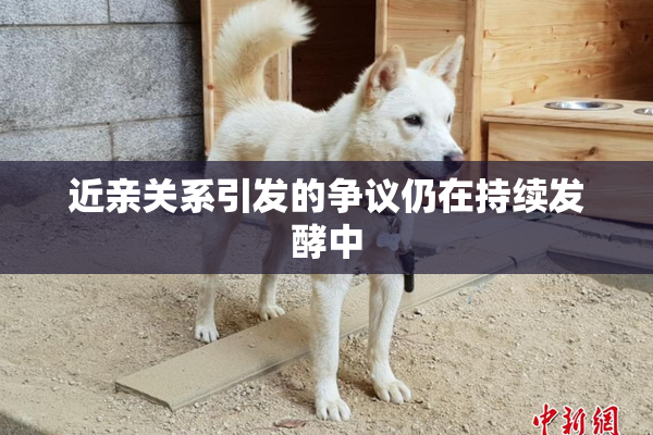 近亲关系引发的争议仍在持续发酵中