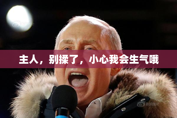 主人，别揉了，小心我会生气哦
