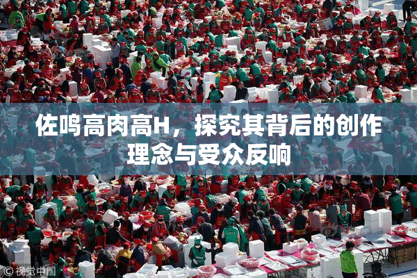 佐鸣高肉高H，探究其背后的创作理念与受众反响