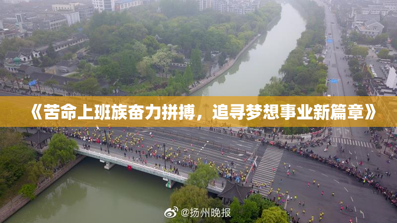 《苦命上班族奋力拼搏，追寻梦想事业新篇章》