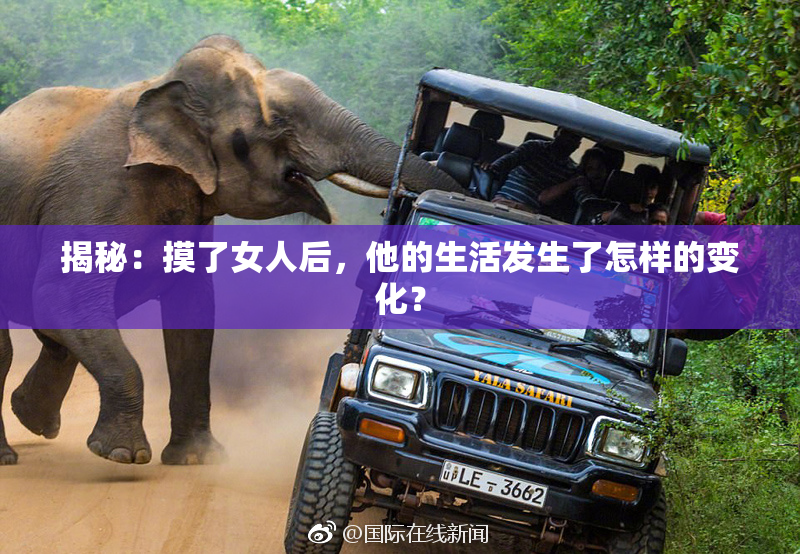 揭秘：摸了女人后，他的生活发生了怎样的变化？