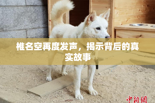 椎名空再度发声，揭示背后的真实故事