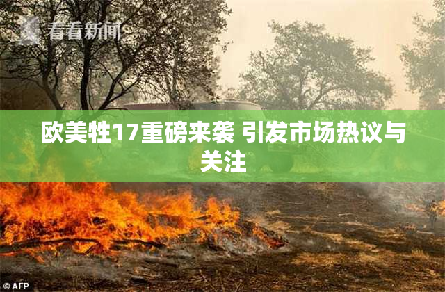 欧美牲17重磅来袭 引发市场热议与关注