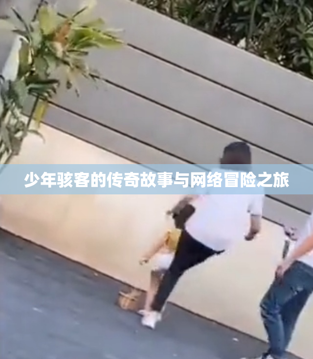 少年骇客的传奇故事与网络冒险之旅