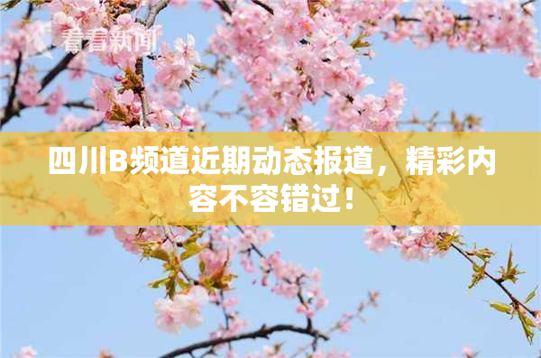 四川B频道近期动态报道，精彩内容不容错过！