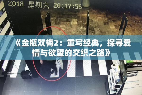 《金瓶双梅2：重写经典，探寻爱情与欲望的交织之路》