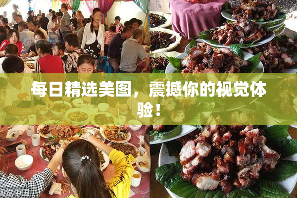每日精选美图，震撼你的视觉体验！