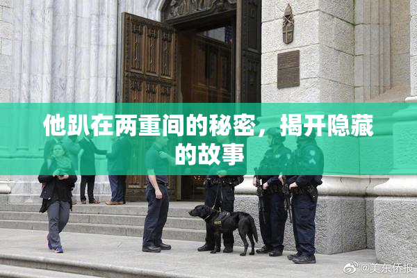 他趴在两重间的秘密，揭开隐藏的故事