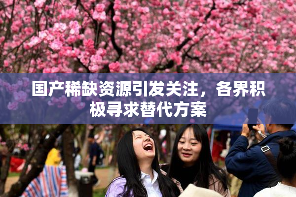 国产稀缺资源引发关注，各界积极寻求替代方案