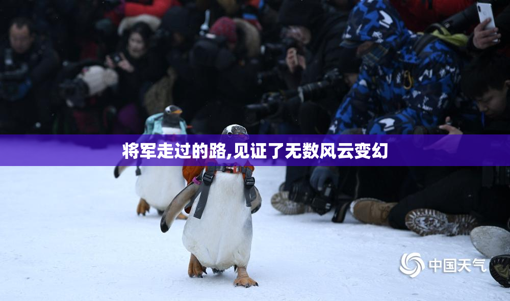 将军走过的路,见证了无数风云变幻