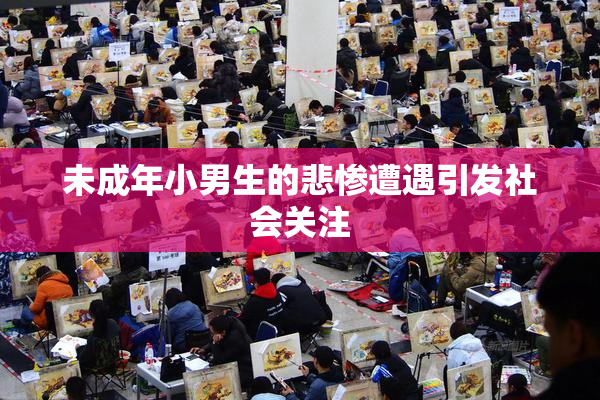 未成年小男生的悲惨遭遇引发社会关注