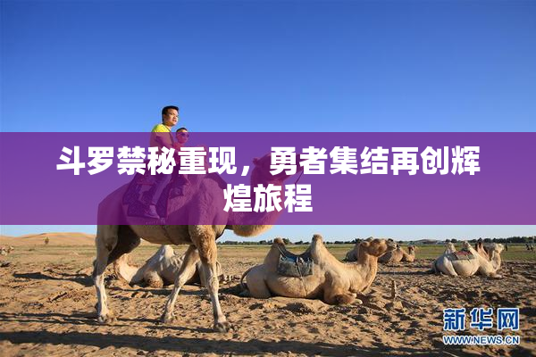 斗罗禁秘重现，勇者集结再创辉煌旅程