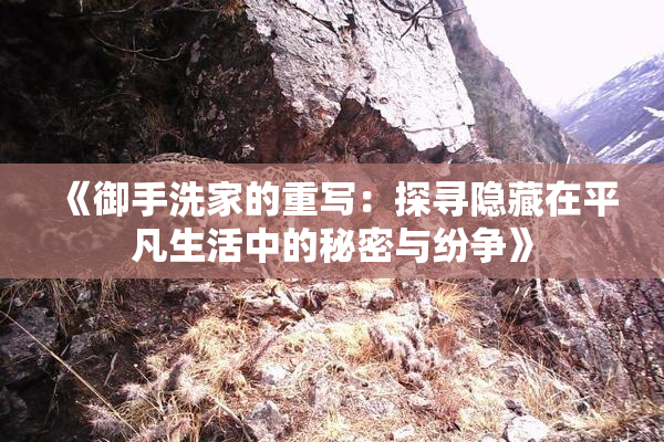 《御手洗家的重写：探寻隐藏在平凡生活中的秘密与纷争》