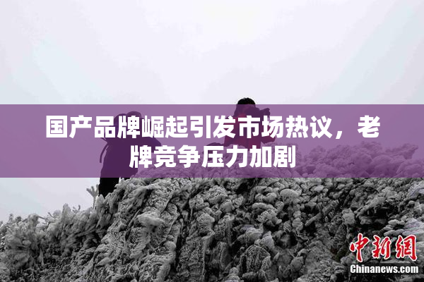 国产品牌崛起引发市场热议，老牌竞争压力加剧