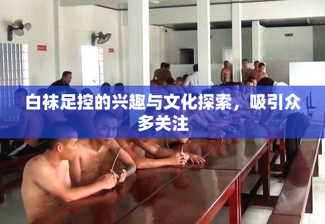 白袜足控的兴趣与文化探索，吸引众多关注
