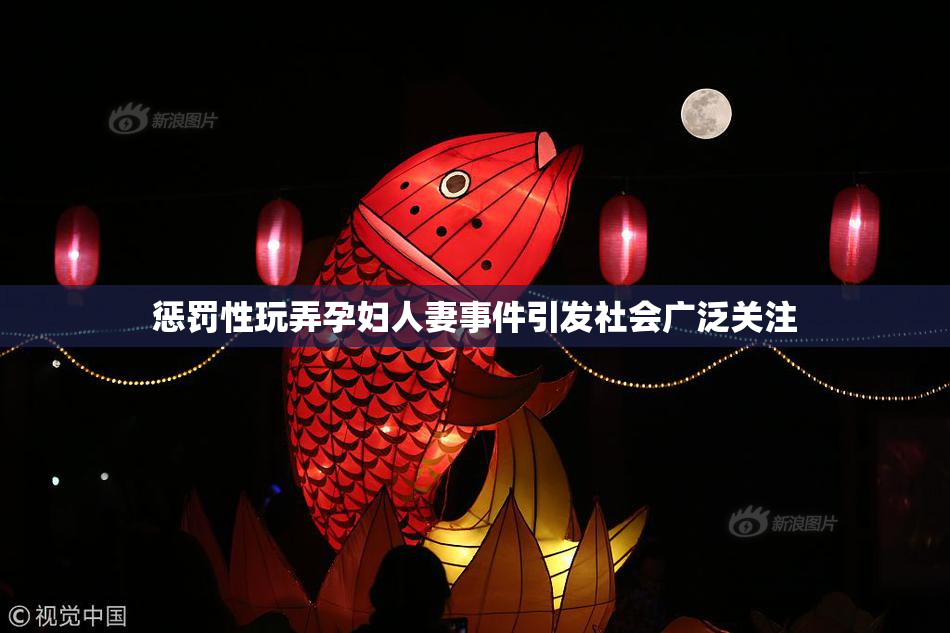 惩罚性玩弄孕妇人妻事件引发社会广泛关注