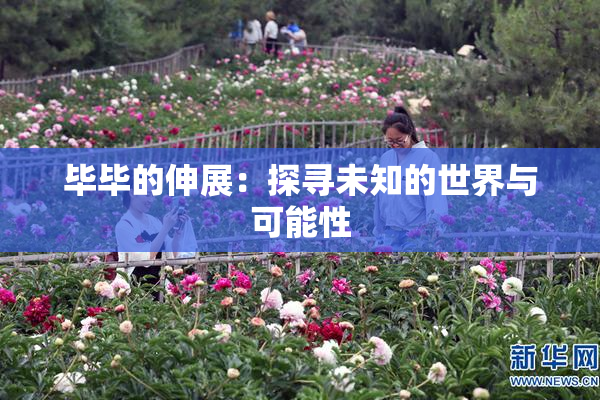 毕毕的伸展：探寻未知的世界与可能性