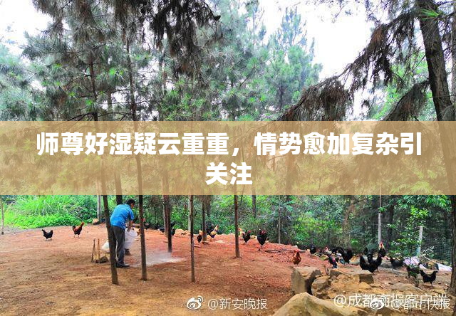 师尊好湿疑云重重，情势愈加复杂引关注