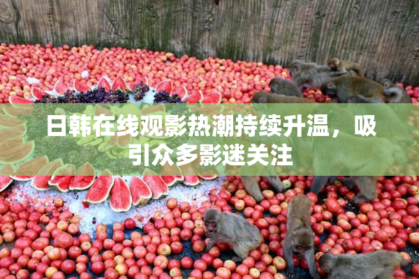 日韩在线观影热潮持续升温，吸引众多影迷关注