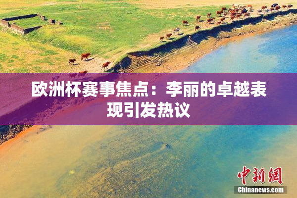 欧洲杯赛事焦点：李丽的卓越表现引发热议