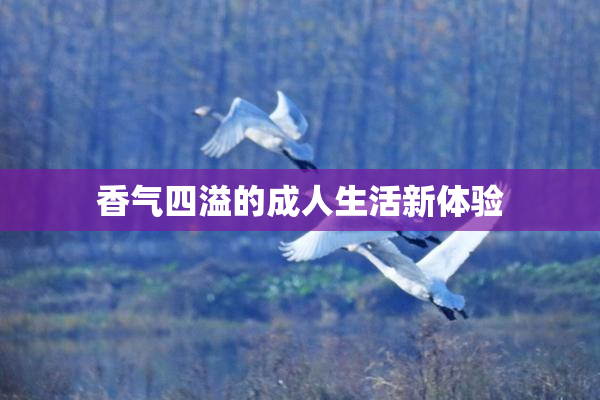 香气四溢的成人生活新体验