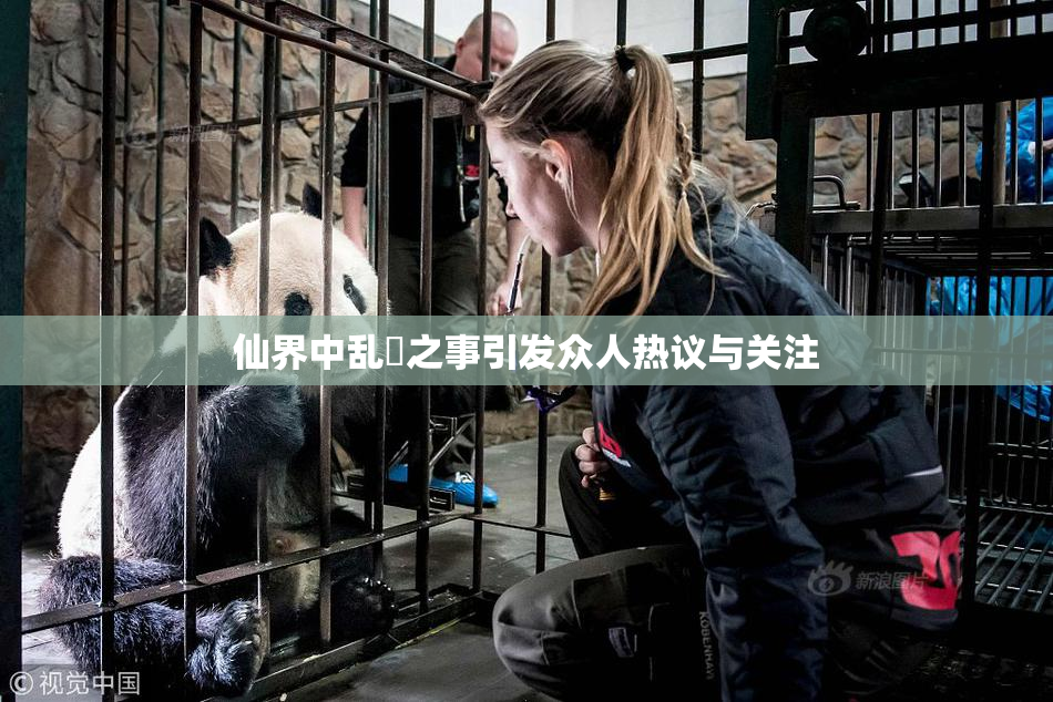 仙界中乱婬之事引发众人热议与关注