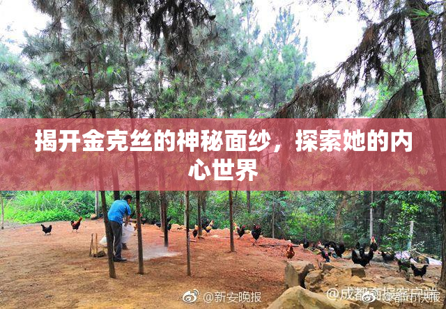 揭开金克丝的神秘面纱，探索她的内心世界