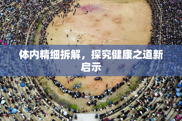 体内精细拆解，探究健康之道新启示