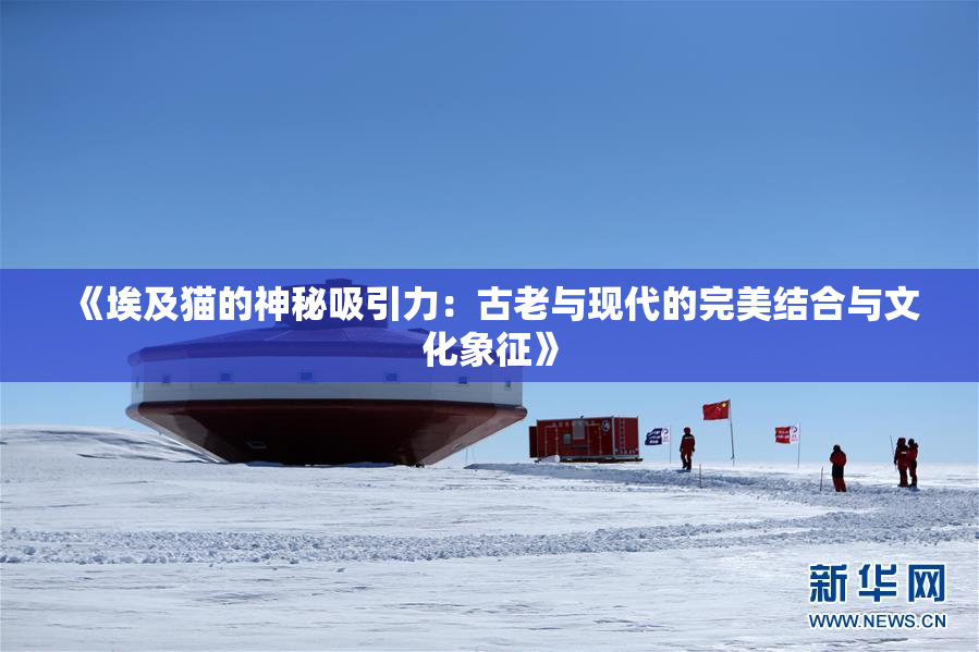 《埃及猫的神秘吸引力：古老与现代的完美结合与文化象征》