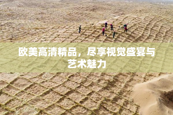 欧美高清精品，尽享视觉盛宴与艺术魅力