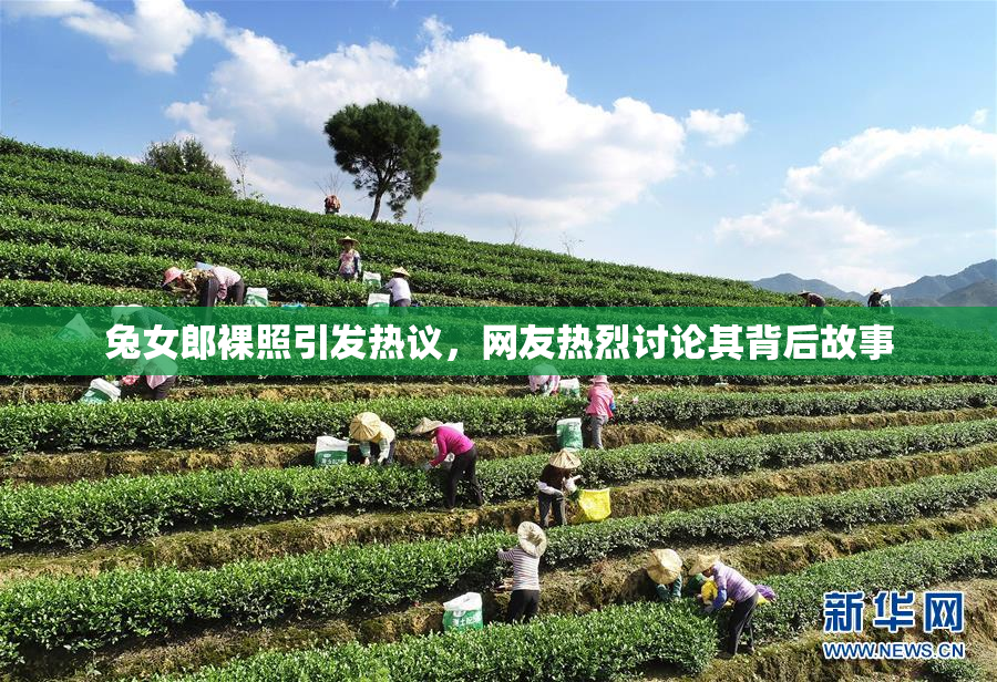 兔女郎裸照引发热议，网友热烈讨论其背后故事