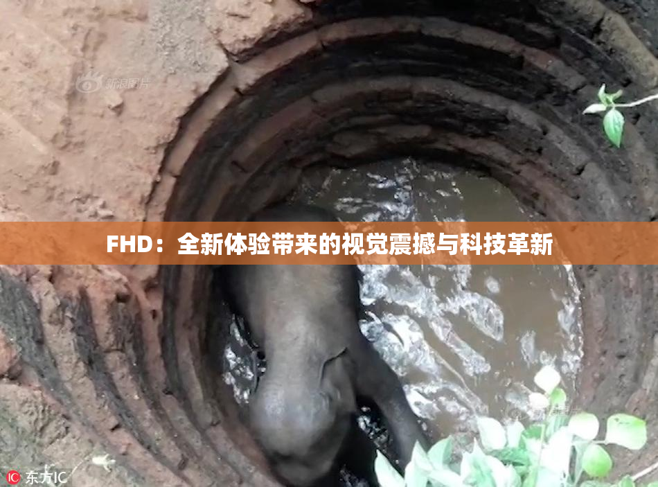 FHD：全新体验带来的视觉震撼与科技革新