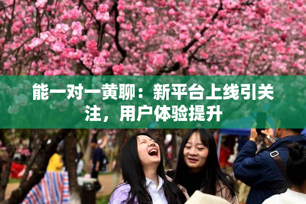 能一对一黄聊：新平台上线引关注，用户体验提升