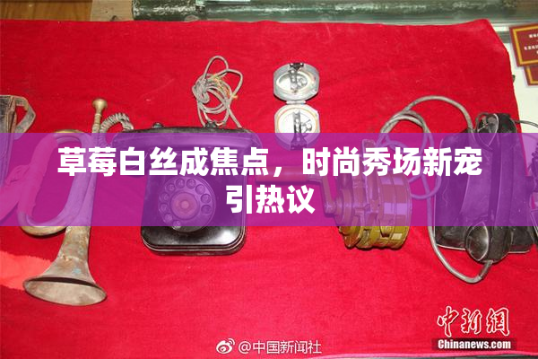 草莓白丝成焦点，时尚秀场新宠引热议