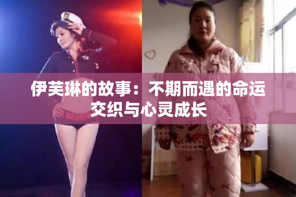 伊芙琳的故事：不期而遇的命运交织与心灵成长