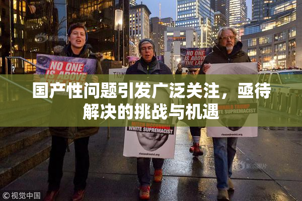 国产性问题引发广泛关注，亟待解决的挑战与机遇