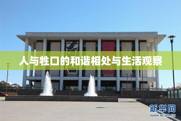 人与牲口的和谐相处与生活观察